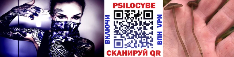 Купить  Белоусово  Галлюциногенные грибы Cubensis 